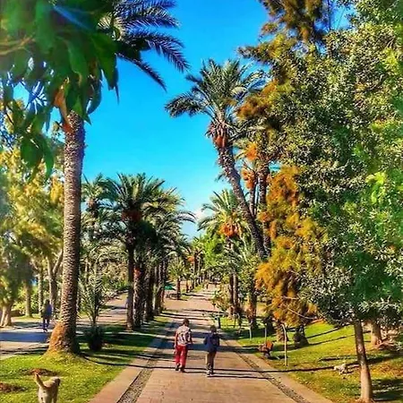 Pasha Suite, Floor شقة *